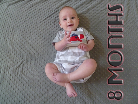 Nolans 8 Month Photo 1